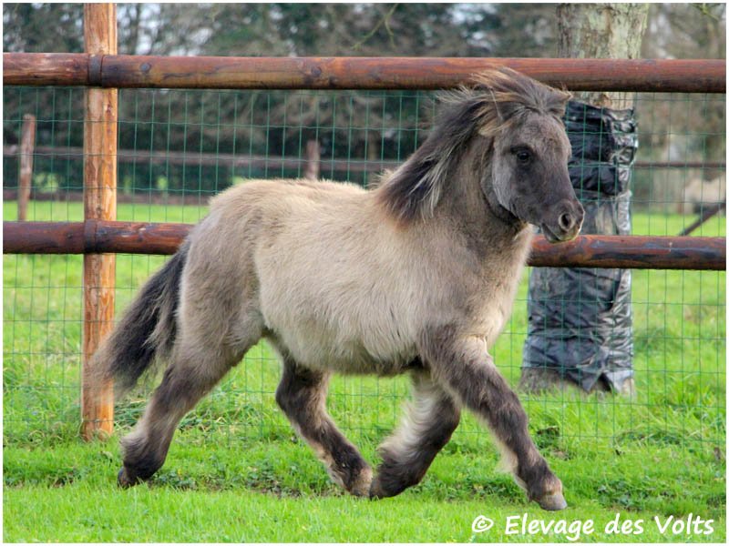FLASH des MOLLANDS