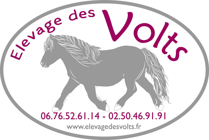 Élevage des Volts